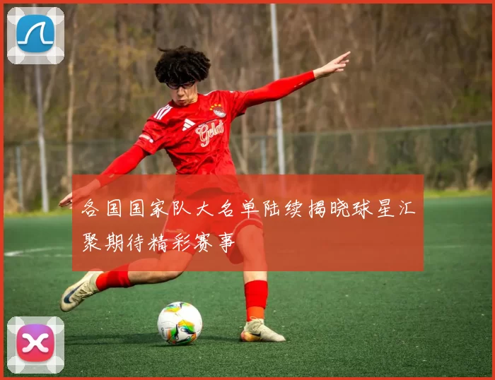 各国国家队大名单陆续揭晓球星汇聚期待精彩赛事