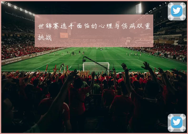 世锦赛选手面临的心理与伤病双重挑战
