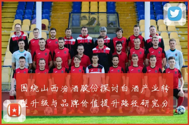 围绕山西汾酒股份探讨白酒产业转型升级与品牌价值提升路径研究分析