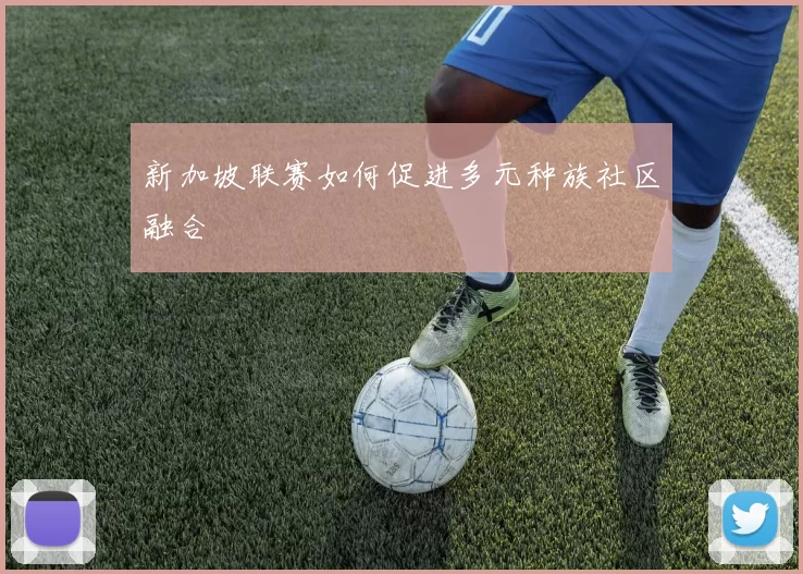 新加坡联赛如何促进多元种族社区融合