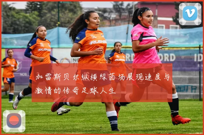 加雷斯贝尔纵横绿茵场展现速度与激情的传奇足球人生